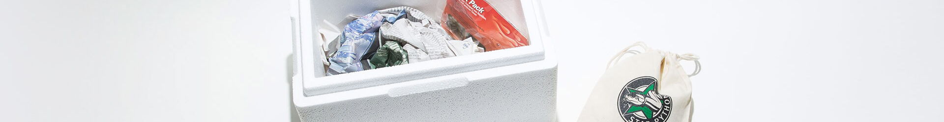 Carpet Pythons worldwide shipping